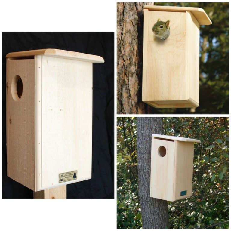 squirrel-houses-for-sale-three-great-nests-for-use-as-dreys-or-dens